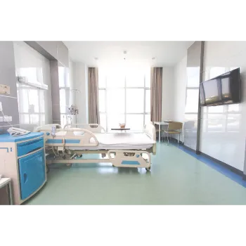 Electric Hospital Bed